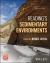 Reading's Sedimentary Environments : Processes, Facies and Stratigraphy