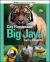 Big Java : Early Objects