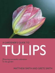 Tulips : Ensuring Successful Cultivation in the Garden
