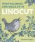 Printing Birds and Wildlife in Linocut