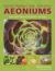 Understanding and Growing Aeoniums : From Wild Origins to Garden Success