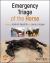 Emergency Triage of the Horse