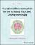 Functional Reconstruction of the Female Urinary Tract and Gynaeco-Urology