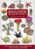 Succulents of South Africa, 2nd Edition : A Guide to the Regional Diversity