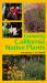 Growing California Native Plants Growing California Native Plants