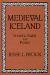 Medieval Iceland : Society, Sagas, and Power
