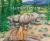 Marmot Dreams