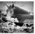 Ocala Thoroughbred Farms Tour Ocala Thoroughbred Farms Tour