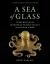 A Sea of Glass : Searching for the Blaschkas' Fragile Legacy in an Ocean at Risk