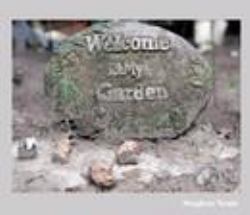 Welcome to My Garden