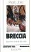 Breccia No. 41 : Selected Poems, 1972-1986