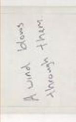 A Wind Blows Though Them