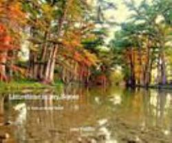 Limestone in My Bones