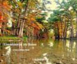 Limestone in My Bones