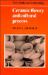 Ceramic Theory and Cultural Process