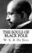 The Souls of Black Folk
