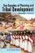 Five Decades of Planning and Tribal Development : A Study of Uttaranchal and Jharkhand