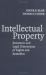 Intellectual Property : Economic and Legal Dimensions of Rights and Remedies