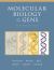 Molecular Biology of the Gene