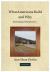 What Americans Build and Why : Psychological Perspectives