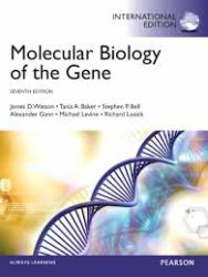 Molecular Biology of the Gene, International Edition