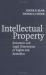 Intellectual Property : Economic and Legal Dimensions of Rights and Remedies