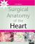 Surgical Anatomy of the Heart