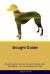 Sloughi Guide Sloughi Guide Includes: Sloughi Training, Diet, Socializing, Care, Grooming, Breeding and More