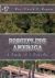 Discipling America : A Study of I Timothy