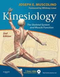 Kinesiology