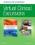 Virtual Clinical Excursions Online and Print Workbook for Fundamentals of Nursing : Active Learning for Collaborative Practice