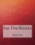 Sql for Bizzies