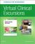 Virtual Clinical Excursions Online and Print Workbook for Adult Health Nursing