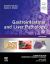 Gastrointestinal and Liver Pathology : A Volume in the Series: Foundations in Diagnostic Pathology