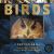 Birds : A Photicular Book