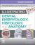 Student Workbook for Illustrated Dental Embryology, Histology and Anatomy