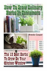 How to Grow Culinary Herbs in Containers: the 13 Best Herbs to Grow on Your Kitchen Window