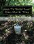 How to Build Your Own Moth Trap : Step by Step Instructions on How to Build a Low Cost Moth Trap