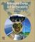 Renewable Energy and Sustainability : Prospects in the Developing Economies