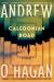 Caledonian Road : A Novel