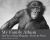 My Family Album : Thirty Years of Primate Photography