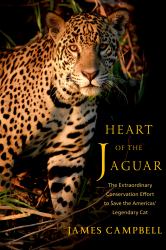 Heart of the Jaguar : The Extraordinary Conservation Effort to Save the Americas' Legendary Cat