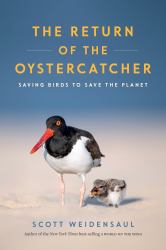 Return of the Oystercatcher : Saving Birds to Save the Planet