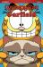 Grumpy Cat and Garfield Grumpy Cat and Garfield