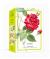 Roses : 100 Postcards from the Archives of the New York Botanical Garden
