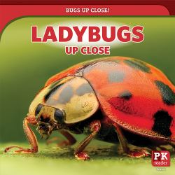 Ladybugs up Close
