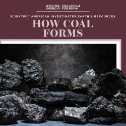 How Coal Forms