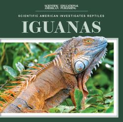 Iguanas