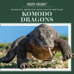 Komodo Dragons