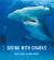 Diving with Sharks